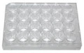 Tissue Culture Plates