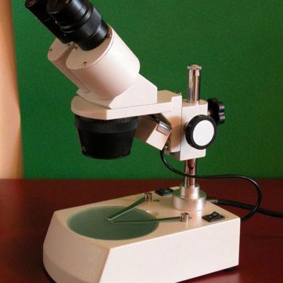 Microscope Stereoscopic 2L Epi / Dia